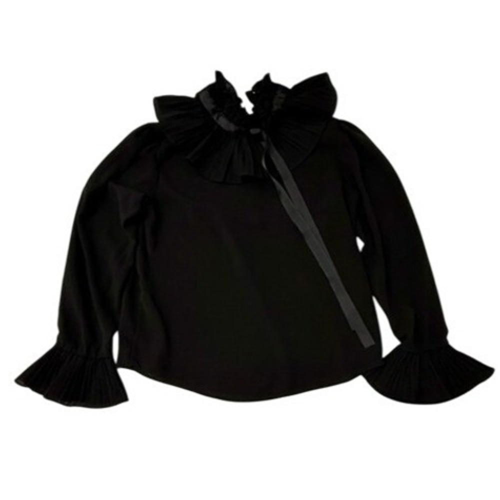 Black Pleated Ruffle Neck Long Sleeve‎ Statement Blouse Women 1